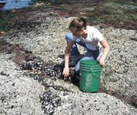 Meg Harvesting Muscles
